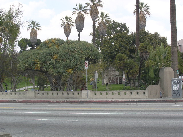 image21